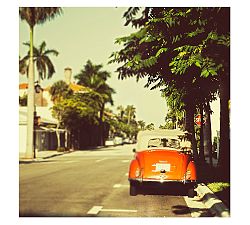 Vintage Travel Framed Print by Cindy Taylor