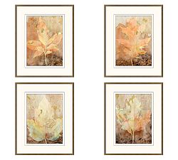 Autumn Leaves Framed Print
