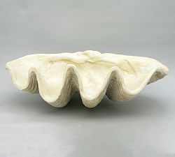 Open Box: Giant Clam Decorative Object