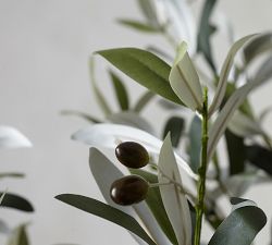 Open Box: Faux Olive Trees