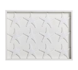 Starfish Shadow Box