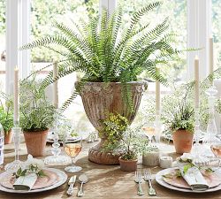 Faux Potted Mini Southern Maiden Hair Fern Houseplant