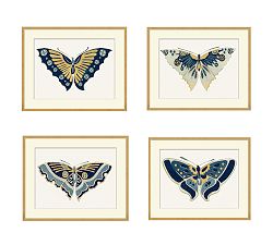 Blue &amp; Gold Butterfly Framed Prints