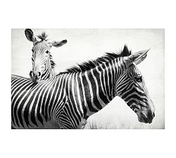 Zebras by Lupen Grainne