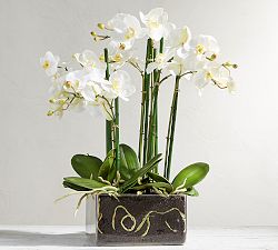 Faux Orchid Phalaenopsis Arrangement in Square Vase