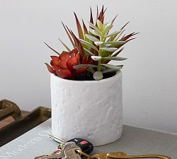 Faux Succulent Arrangement