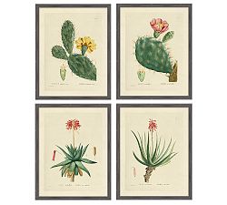 Blooming Desert Print