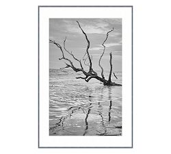 Bull's Island Vertical Print By Lannie Hall