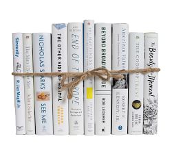 Dust Jacketed Book Bundles