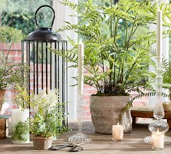 Faux Potted Mini Southern Maiden Hair Fern Houseplant