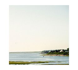Bay Morning Framed Print by Cindy Taylor