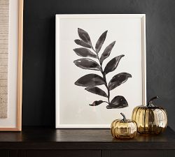 Foliage Silhouette Framed Prints