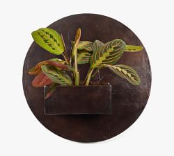 Tall Antique Rust Wall Planters