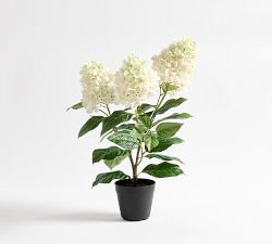 Faux Potted White Cone Hydrangea - Thumbnail 3