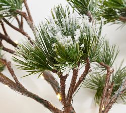 Lit Faux Snowy Branch