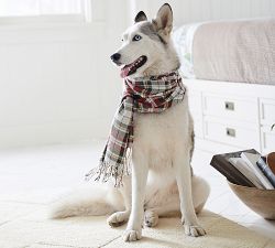 Denver Plaid Scarf