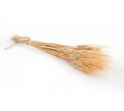 Dried Wheat Bundle