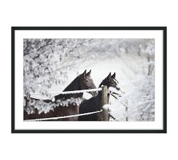 Horses In Snow Framed Print