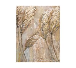 Pampas by Lauren Herrera