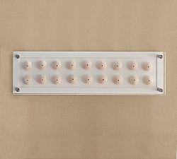 Pink Sea Urchin Glass Shadow Box