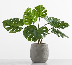Faux Small Monstera Houseplant