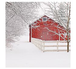 Red Barn in the Snow Framed Print by Cindy Taylor