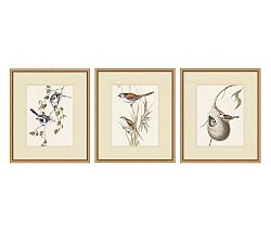 In The Branches Prints