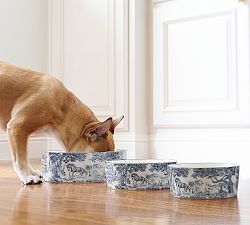 Brandon Maxwell Groveland Toile Pet Bowl