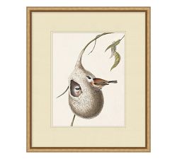 In The Branches Prints