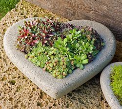 Sweet Heart Planters
