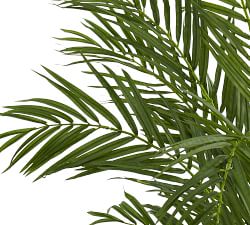 Faux Wide Areca Palm Trees