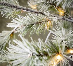 Lit Indoor/Outdoor Snow Pine Tree