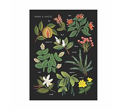 Herbs + Spices Charcoal by Rifle Paper Co.
