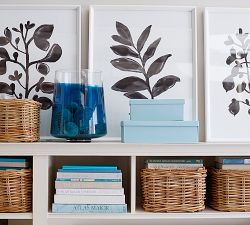 Foliage Silhouette Framed Prints