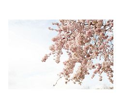 Signs of Spring in Paris Framed Print by Rebecca Plotnick