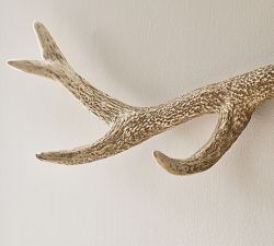 Antler Row of Hooks