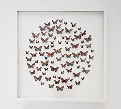 Butterfly Printed Wall Art