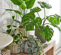Faux Small Monstera Houseplant