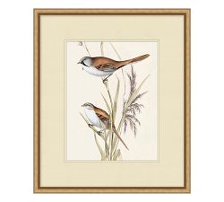 In The Branches Prints