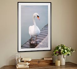 Parisian Swan by Justine Milton