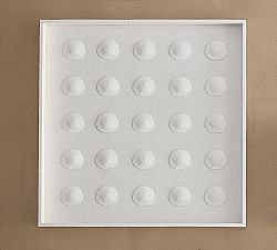 Sand Dollar Shadow Box