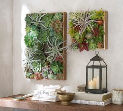 Faux Succulent Wall Art