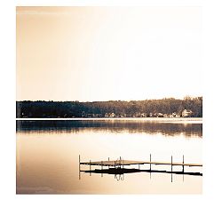 Lakeside Framed Print by Cindy Taylor