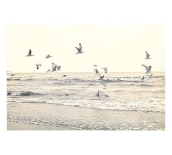 Classic Coastal Gallery Wall