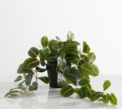 Faux Wandering Prayer Houseplant