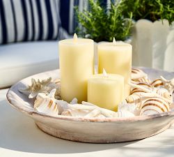 Mixed Shell Vase Filler