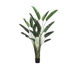 Faux Bird Of Paradise Plants