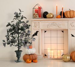 Halloween Black Oak Tree