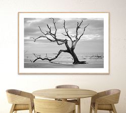 Bull's Island Print By Lannie Hall