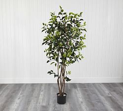 Faux Potted Ficus Bushy Tree